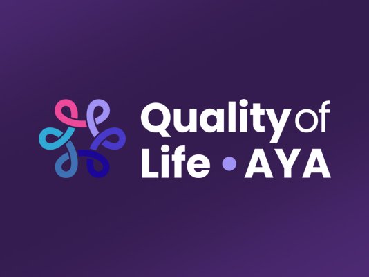 Late-aya QoLLATE AYA takes part in the first meeting of the Quality of Life (AYA) Cluster
